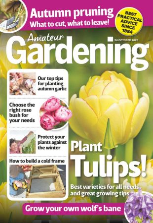 Amateur Gardening   24 October 2020 (True PDF)