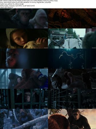 Planet Of The Apes Complete Collection 1080p BluRay H264 AC3 DD5.1 Will1869