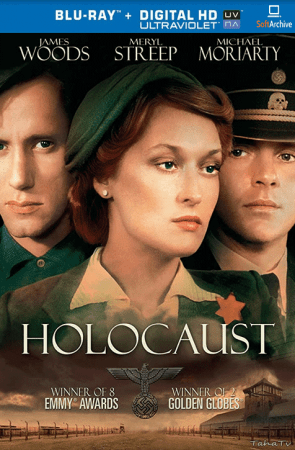 Holocaust S01 BRRip x264-ION10
