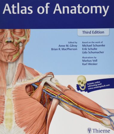 Atlas of Anatomy, 3rd Edition (Thieme Atlas of Anatomy)