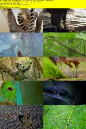 PBS-BBC EARTH - Islands of Wonder: Series 1 (2020) 1080p HDTV x264 AAC MVGroup