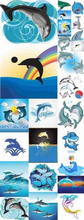 Sea dolphin illustration for children's books
