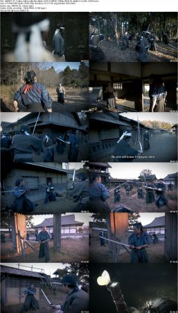 Crazy Samurai Musashi 2020 JAPANESE ENSUBBED 1080p WEBRip AAC2.0 x264-CMYK