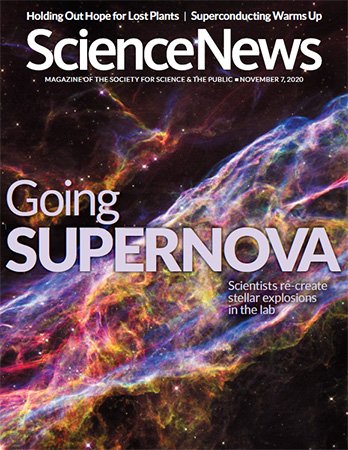 Science News   November 07, 2020