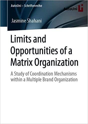 Limits and Opportunities of a Matrix Organization: A Study of Coordination Mechanisms within a Multiple Brand Organizati