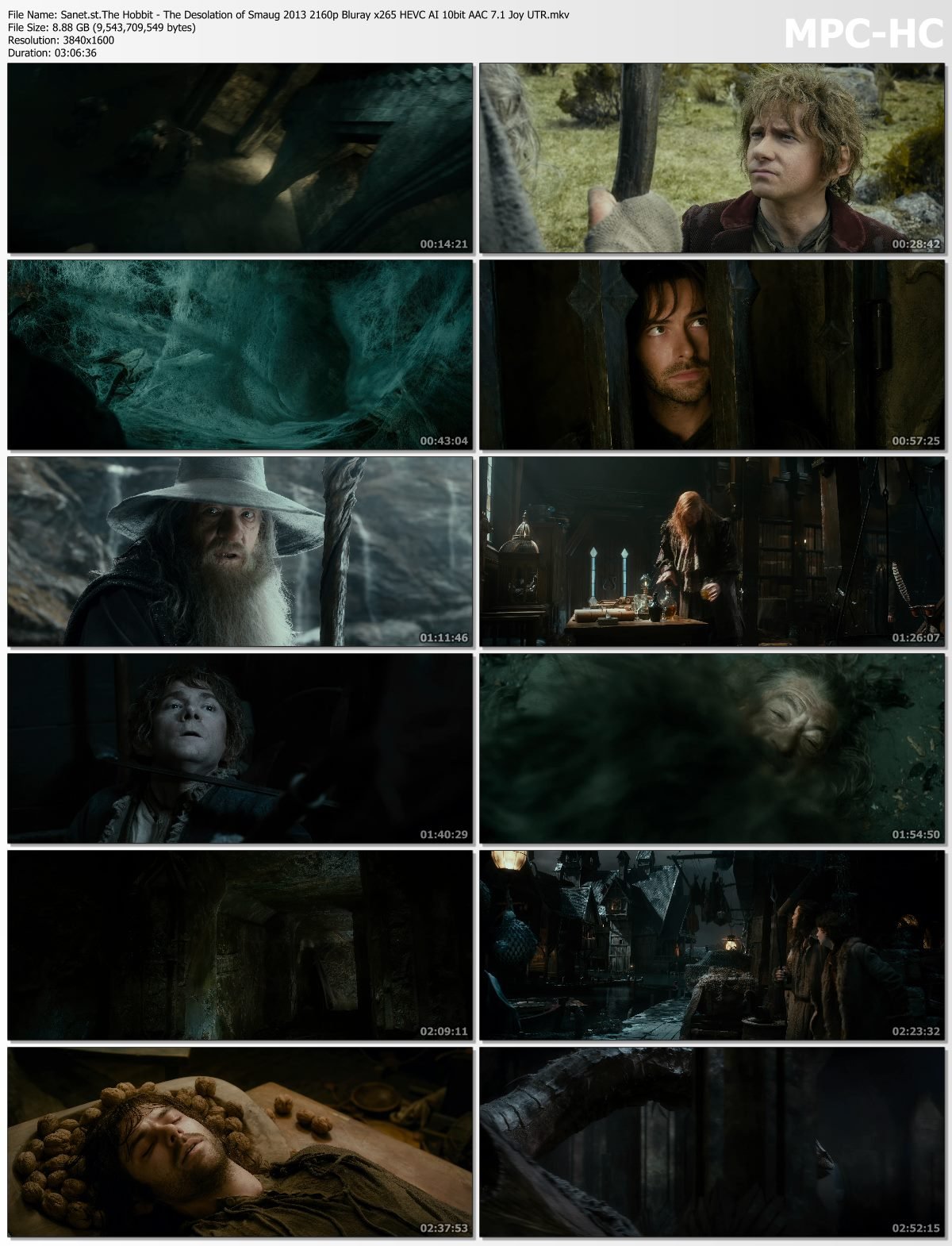 download the new for android The Hobbit: The Desolation of Smaug