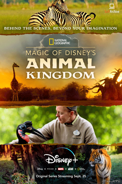 disney animal kingdom alive with magic