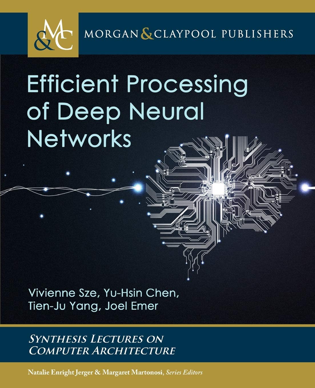 efficient processing of deep neural networks