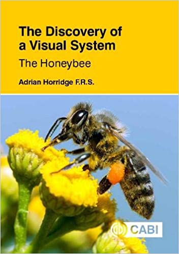 The Discovery of a Visual System   The Honeybee (True EPUB)