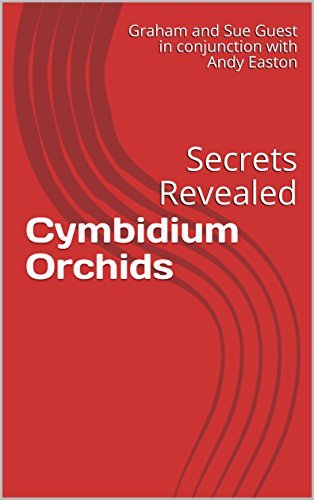 Cymbidium Orchids: Secrets Revealed