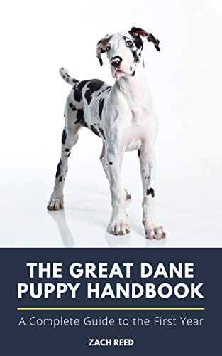 The Great Dane Puppy Handbook: A Complete Guide to the First Year