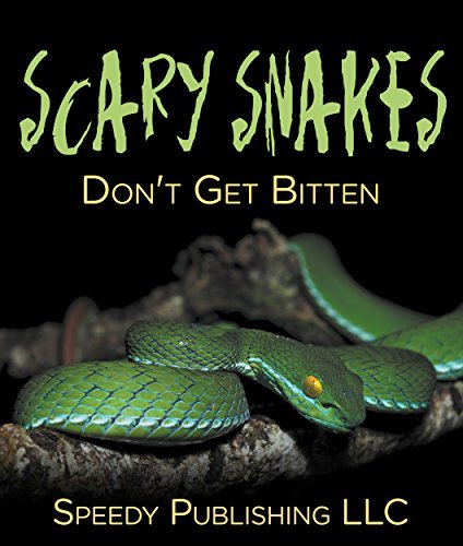 Scary Snakes   Don't Get Bitten: Deadly Wildlife Animals (Reptiles and Amphibians for Kids)