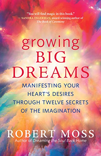 DevCourseWeb Growing Big Dreams Manifesting Your Heart s Desires through Twelve Secrets of the Imagination