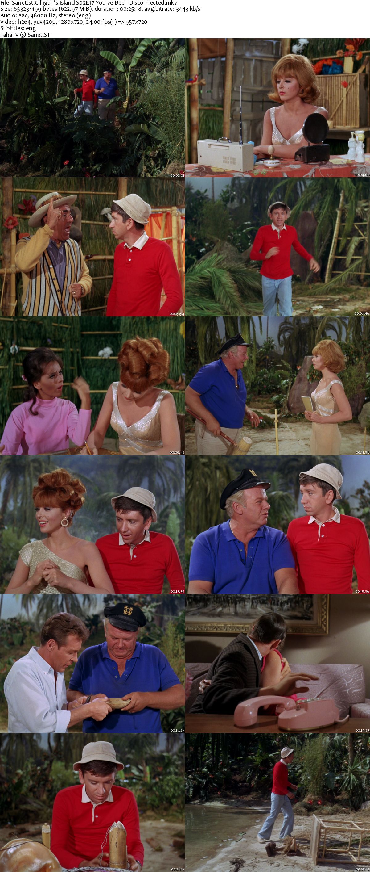 Download Gilligans Island 1964 S02 720p Amzn Webrip X264 Ic Softarchive