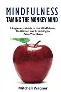 Mindfulness   Taming of the Monkey Mind