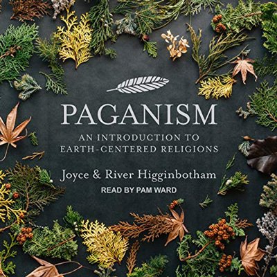 Paganism: An Introduction to Earth centered Religions (Audiobook)
