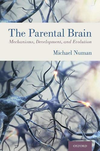The Parental Brain: Mechanisms, Development, and Evolution