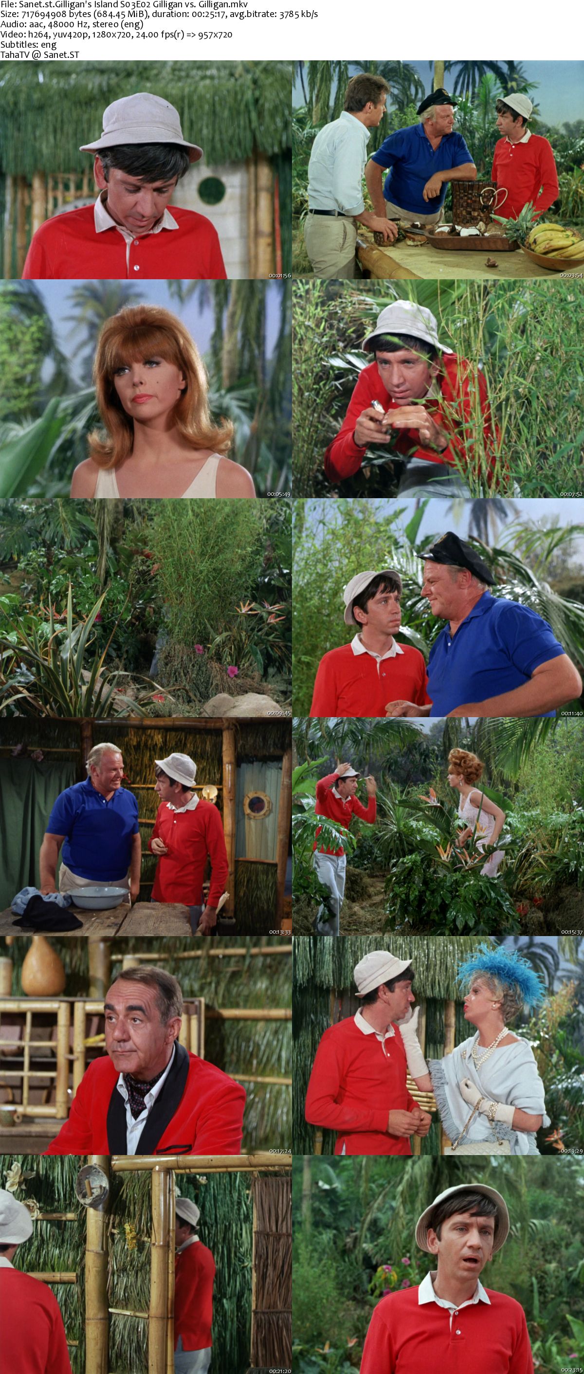 Download Gilligans Island 1964 S03 720p Amzn Webrip X264 Ic Softarchive