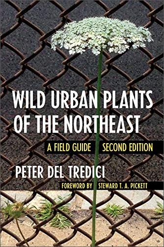 Wild Urban Plants of the Northeast: A Field Guide, 2nd Edition