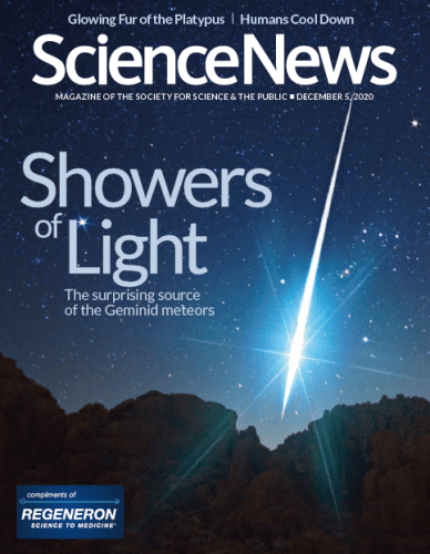 FreeCourseWeb Science News December 05 2020