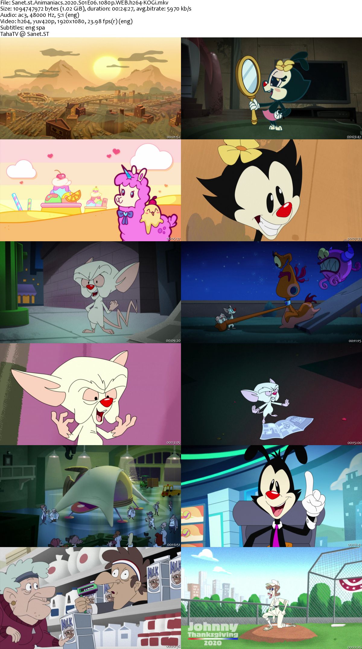 download animaniacs new series