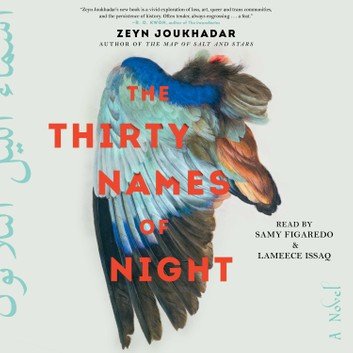 The Thirty Names of Night: A Novel [Audiobook]
