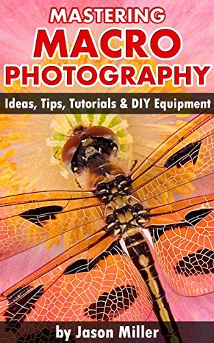 Mastering Macro Photography   Ideas, Tips, Tutorials & DIY Equipment