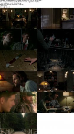 Supernatural S15 1080p AMZN WEBRip DDP5.1 x264-NTG