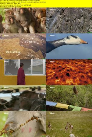 Chinas Wild Side S01 720p HDTV x264-CBFM