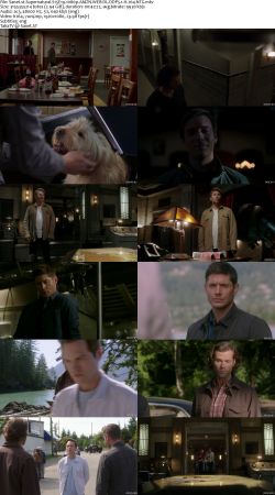 Supernatural S15 1080p AMZN WEBRip DDP5.1 x264-NTG