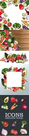 Set of fresh vegetables salad vector illustrations