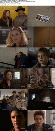 Touched By An Angel S06 DVDRip XVID MP3-NOGRP