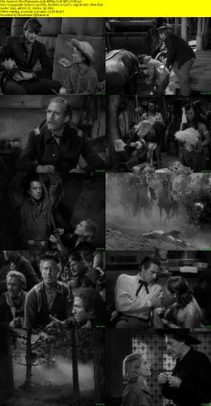 The Plainsman 1936 BRRip XviD MP3-XVID
