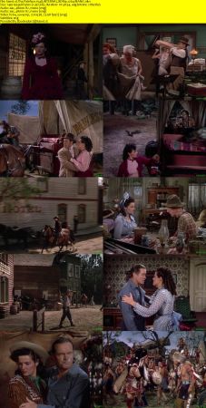The Paleface 1948 iNTERNAL BDRip x264-MANiC