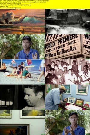 Curiosity TV - Bright Now: The Road to Florida (2020) 1080P hdtv x264 AAC MVGroup