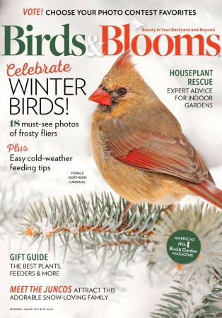 Birds & Blooms   December 2020 /January 2021