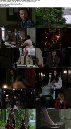 Supernatural S15 1080p AMZN WEBRip DDP5.1 x264-NTG