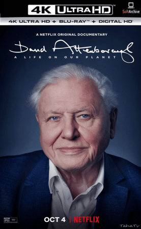 David Attenborough A Life On Our Planet 2020 2160p 4K WEB x265 10bit AAC5.1-YTS
