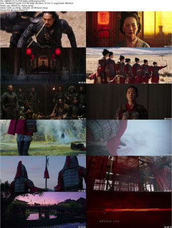 Mulan 2020 BDRip x264-PiGNUS