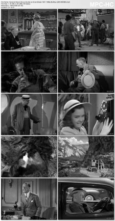 Never Give a Sucker an Even Break 1941 1080p BluRay x265-RARBG