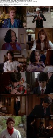Touched By An Angel S01 DVDRip XVID MP3-NOGRP