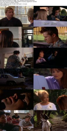 Touched By An Angel S03 DVDRip XVID MP3-NOGRP