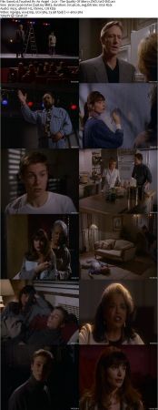 Touched By An Angel S02 DVDRip XVID MP3-NOGRP