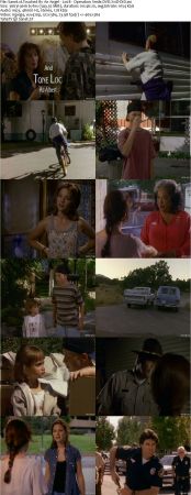 Touched By An Angel S02 DVDRip XVID MP3-NOGRP