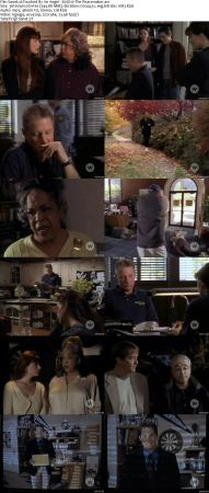 Touched By An Angel S05 DVDRip XVID MP3-NOGRP