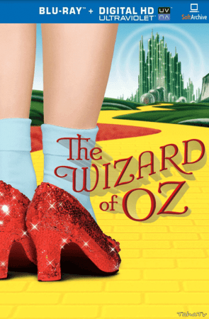 The Wizard of OZ 1939 75th AE BluRay 1080p DD5.1 x265-D3FiL3R
