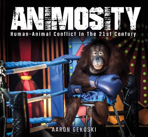 Animosity: Animal Conflict in the 21st Century