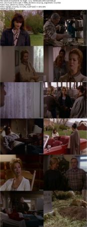 Touched By An Angel S02 DVDRip XVID MP3-NOGRP