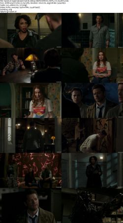 Supernatural S15 1080p AMZN WEBRip DDP5.1 x264-NTG
