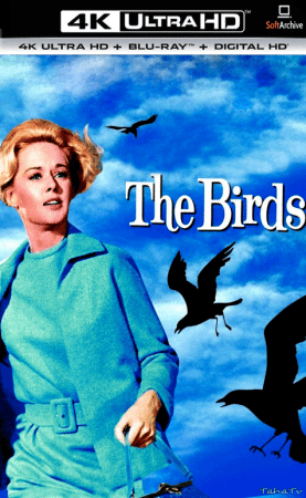 The Birds 1963 2160p 4K BluRay x265 10bit AAC5.1-YTS